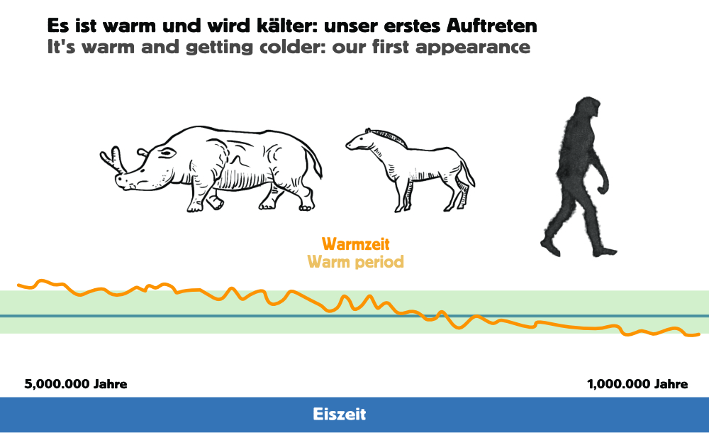 Murinsel-Temperaturkurve Graz mnutzDesign