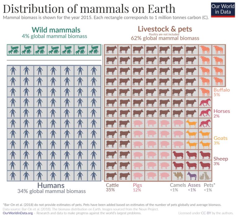 Säugetiere globale Verteilung