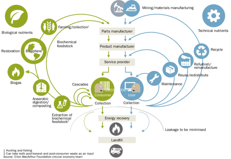 circular economy