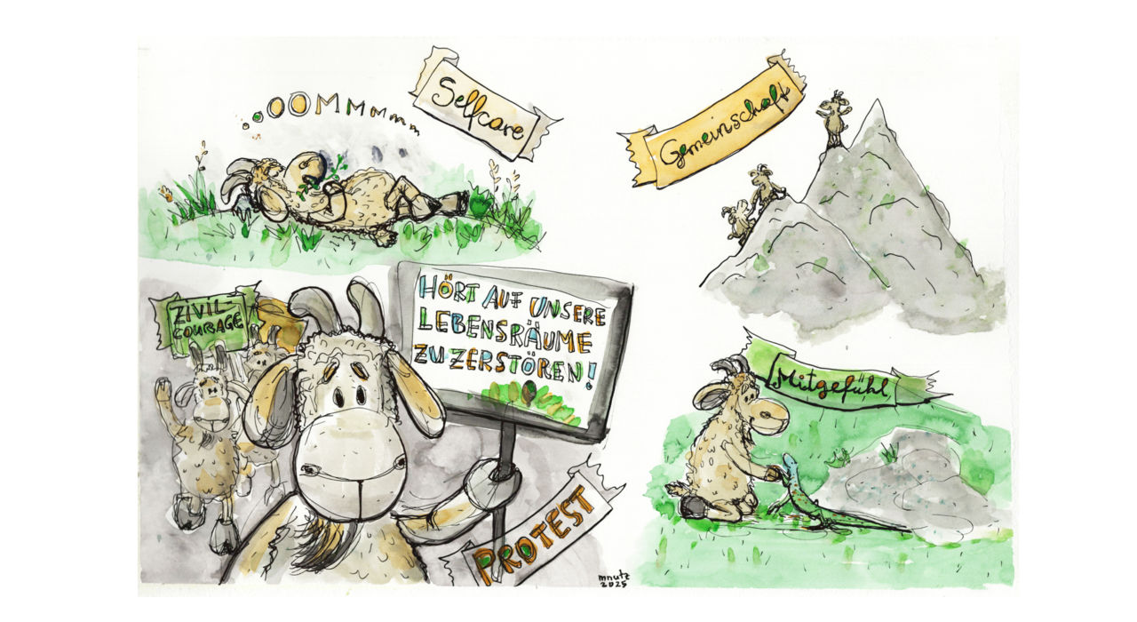 Im Bock-Galopp durchs Tote Gebirge