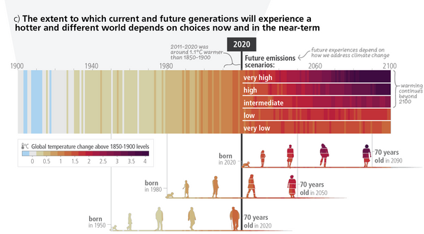 Temperaturentwicklung und Generationen